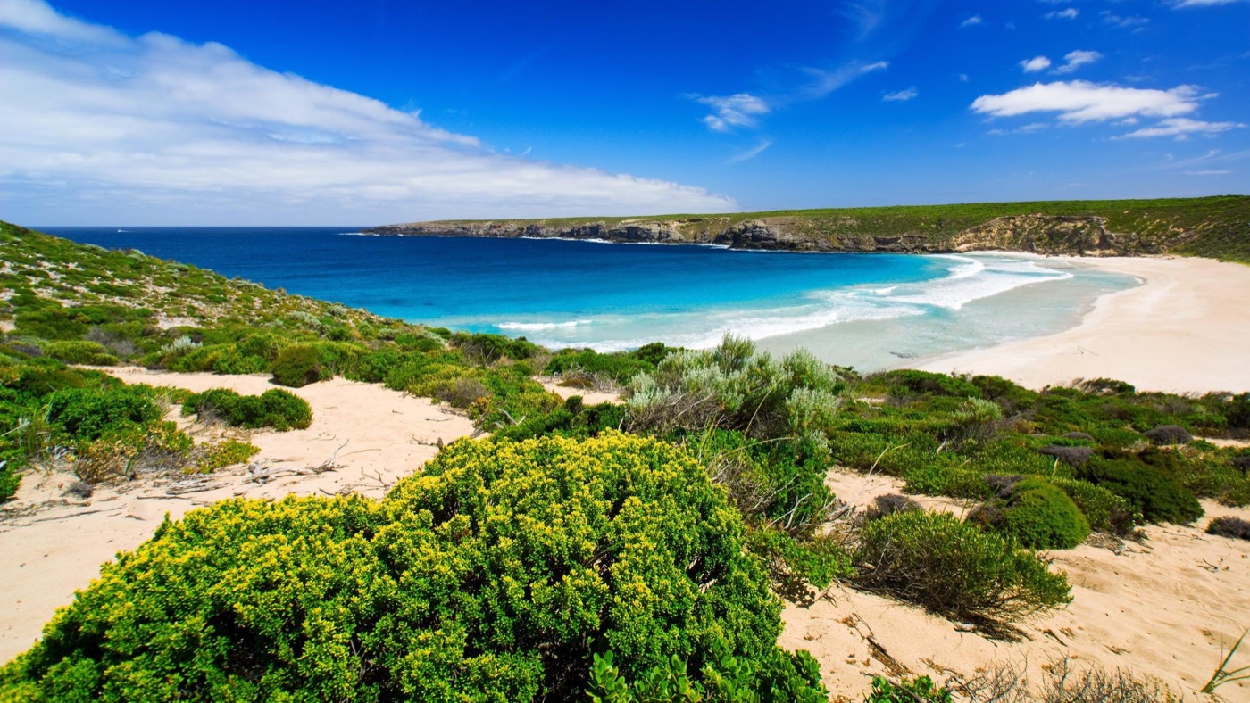 A pristine white-sand beach on the coast near Adelaide, South Australia